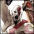 EmperorGoshiro :iconemperorgoshiro: