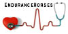 EnduranceHorses's avatar