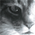 energismus :iconenergismus: