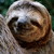 DeviantArt profile picture for @english on DeviantArt