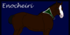 Enocheiri-Horse's avatar