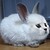 DeviantArt profile picture for @ensures on DeviantArt