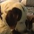 :iconepicstormchaser: