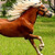 EponaThePhantomMare :iconeponathephantommare: