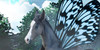 Equine-Artistry's avatar