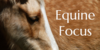 Equine-Focus's avatar