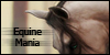 Equine-Mania's avatar