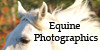 Equine-Photographics's avatar