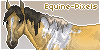Equine-Pixel's avatar