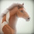 EquineRibbon :iconequineribbon: