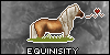 Equinisity's avatar