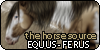 :iconequus-ferus: