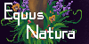 Equus-Natura's avatar