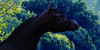 Equus-of-Art's avatar