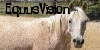 EquusVision's avatar