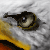 DeviantArt profile picture for @erdem on DeviantArt