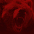 Erric :iconerric: