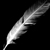 Eshevar :iconeshevar: