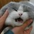 Esther-fun-world :iconesther-fun-world: