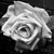 EternalBliss777 :iconeternalbliss777: