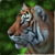 EugeneRubulsArt :iconeugenerubulsart: