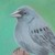 EvanaW :iconevanaw: