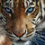 EveninX :iconeveninx: