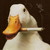 everyday-im-wumboing :iconeveryday-im-wumboing: