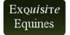 Exquisite-Equines's avatar