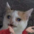 fabueen :iconfabueen: