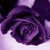 fairyqueen77 :iconfairyqueen77:
