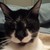 fan2468 :iconfan2468:
