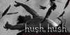Fanbase-HushHush's avatar