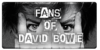 FansOfDavidBowieClub's avatar