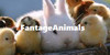 Fantage-Animals's avatar