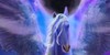 Fantasy-Equine-Art's avatar