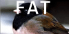 FAT-BERDS's avatar
