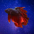 Faunsyy :iconfaunsyy:
