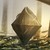 feathe02 :iconfeathe02: