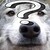 FeatherBvtt :iconfeatherbvtt: