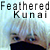 :iconfeathered-kunai: