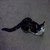 feel-it-groove :iconfeel-it-groove: