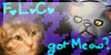 Feline-Lovers-Club's avatar