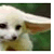 fenekfoxes2plz :iconfenekfoxes2plz: