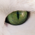 :iconferal-cats: