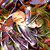 Feralessfly :iconferalessfly: