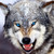 Fernandez927 :iconfernandez927: