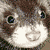 Ferret-Club's avatar