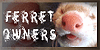 Ferret-Owners's avatar