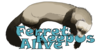 FerretsKeepUsAlive's avatar